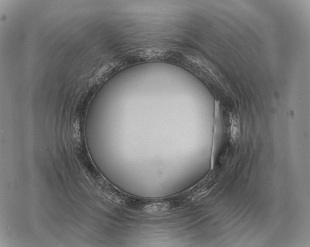 X0000072980700200608111741