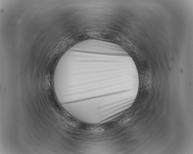 X0000072980702200608111741