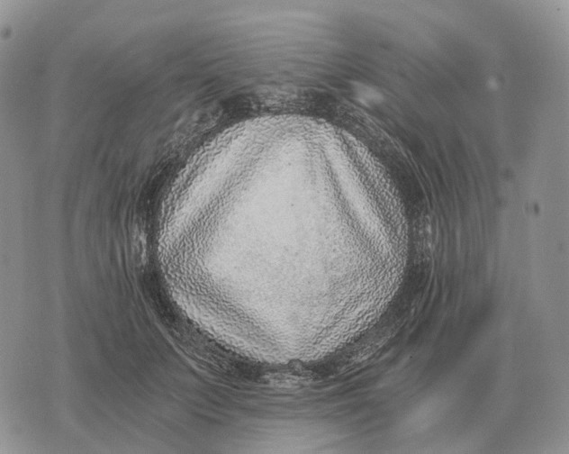 X0000072980703200608111741