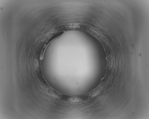 X0000072980704200608111741