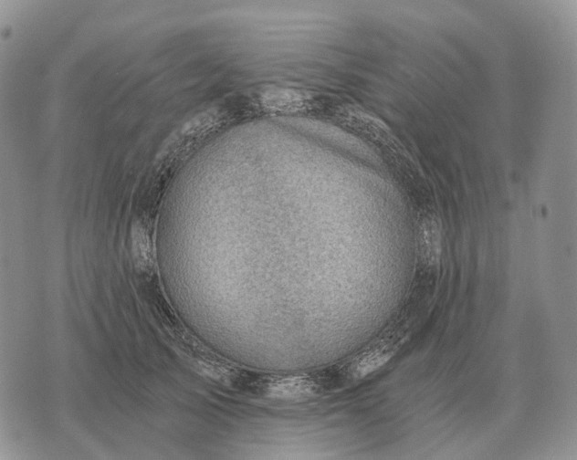 X0000072980705200608111741