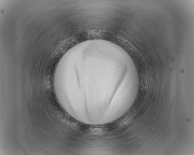 X0000072980706200608111741