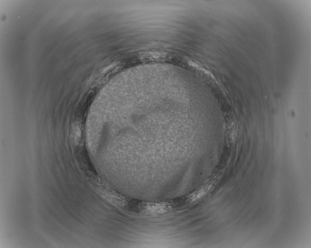 X0000072980709200608111741