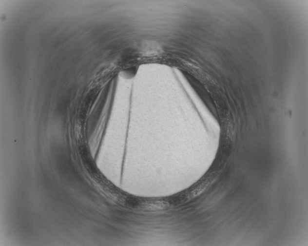 X0000072980711200608111741