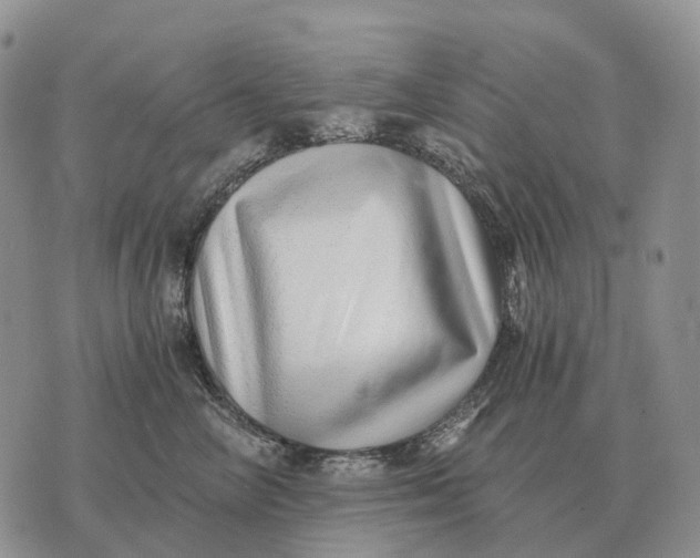 X0000072980714200608111741