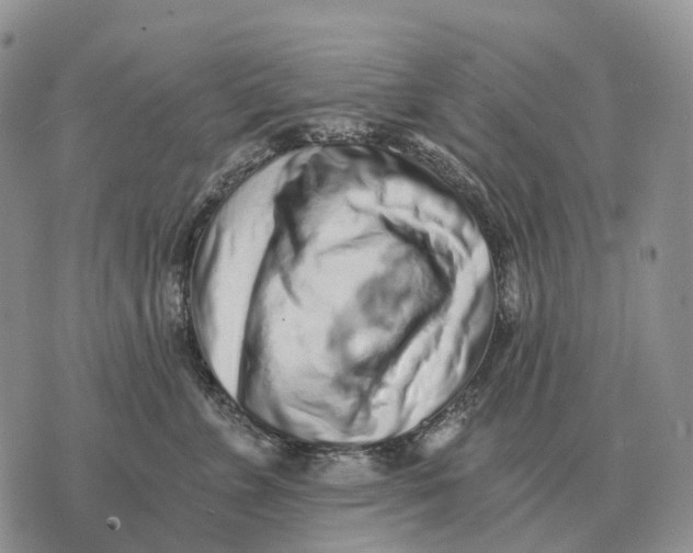 X0000072980715200608111741