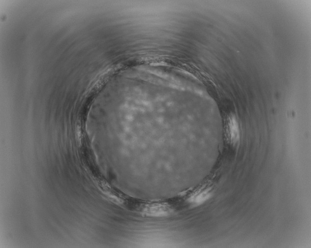 X0000072980716200608111741