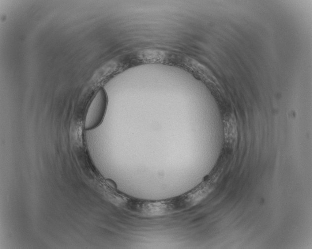 X0000072980717200608111741