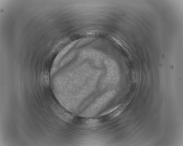 X0000072980718200608111741