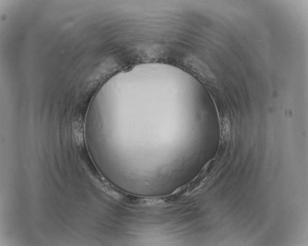 X0000072980719200608111741