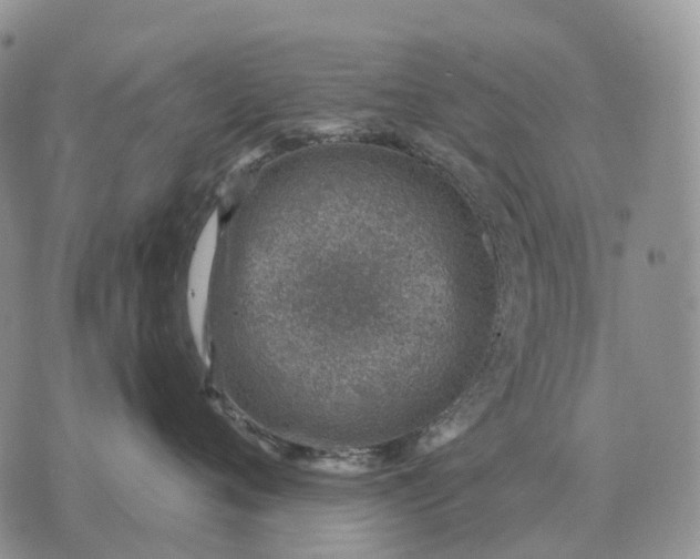 X0000072980720200608111741