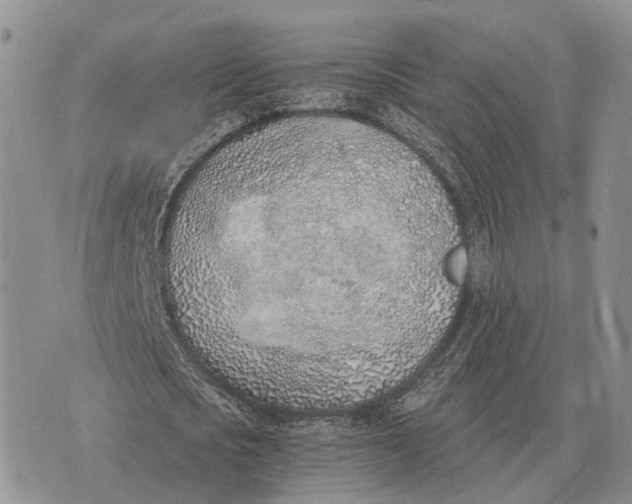 X0000072980721200608111740