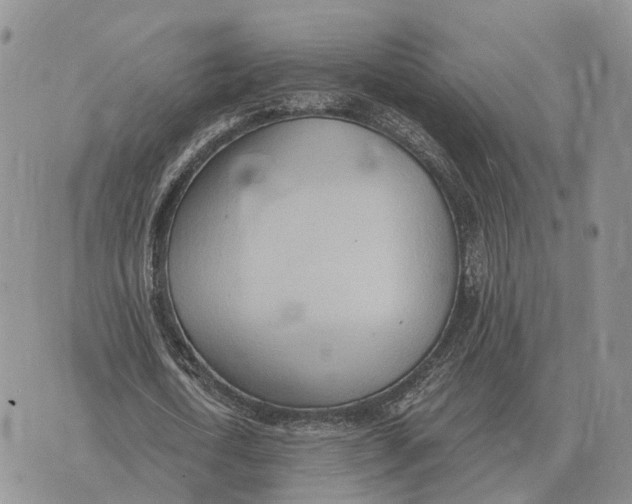 X0000072980722200608111740