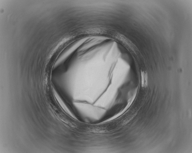 X0000072980723200608111740