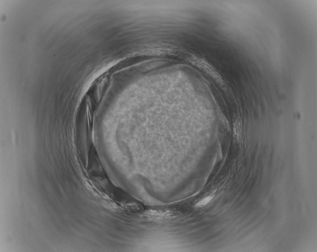 X0000072980724200608111740