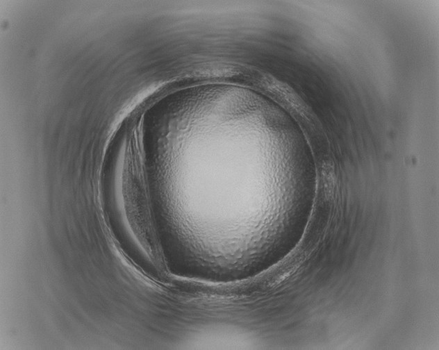 X0000072980726200608111740