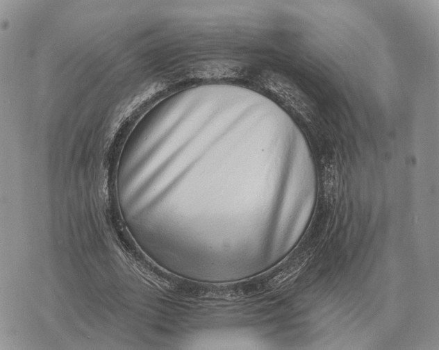 X0000072980727200608111740