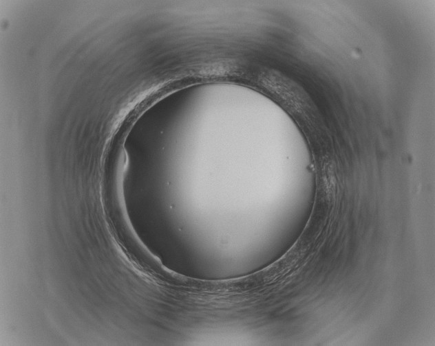 X0000072980728200608111740