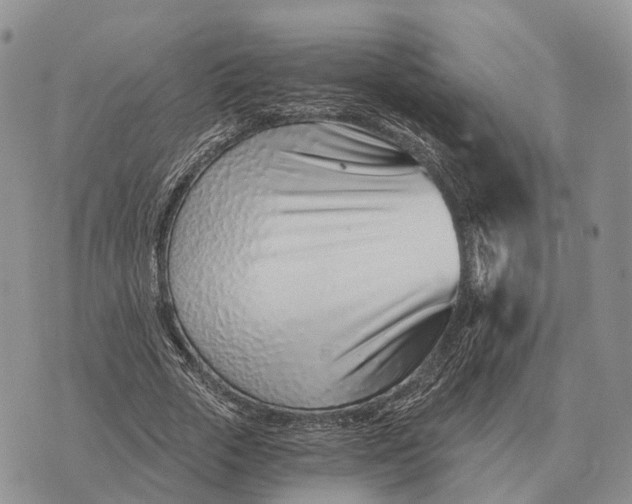 X0000072980729200608111740