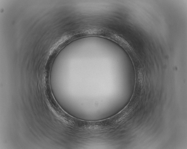 X0000072980730200608111741