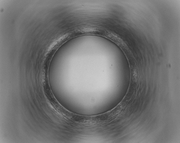 X0000072980732200608111741