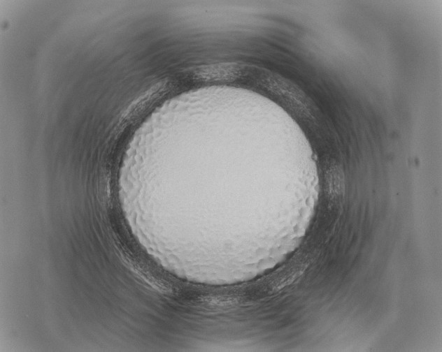 X0000072980733200608111741