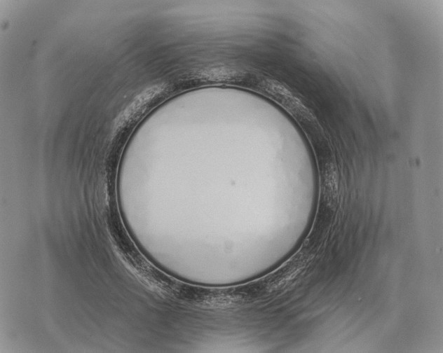 X0000072980734200608111741