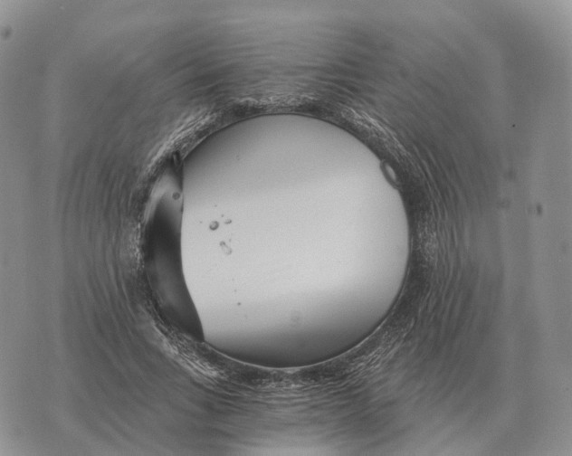 X0000072980735200608111741