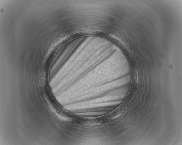 X0000072980736200608111741