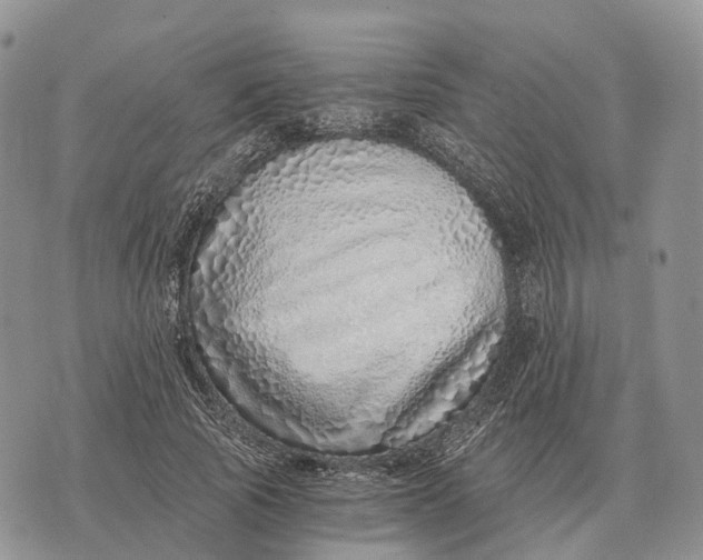 X0000072980737200608111741