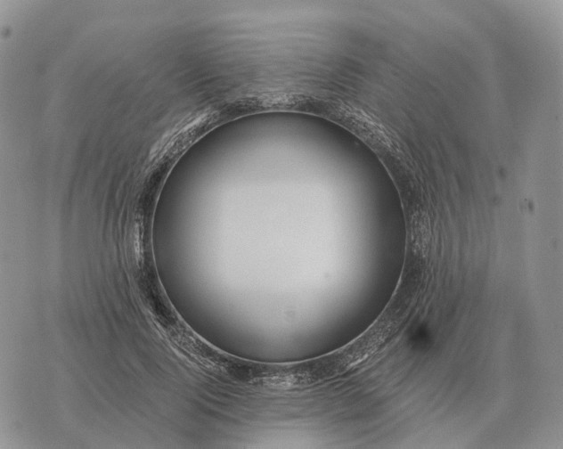 X0000072980740200608111741