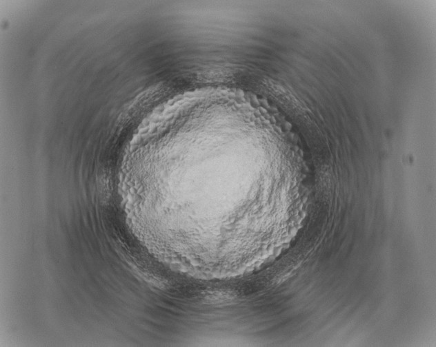 X0000072980741200608111741