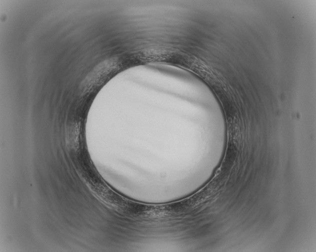 X0000072980742200608111741