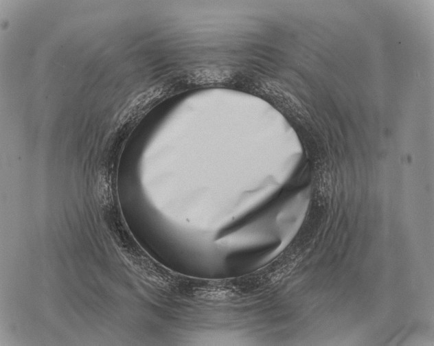 X0000072980743200608111741