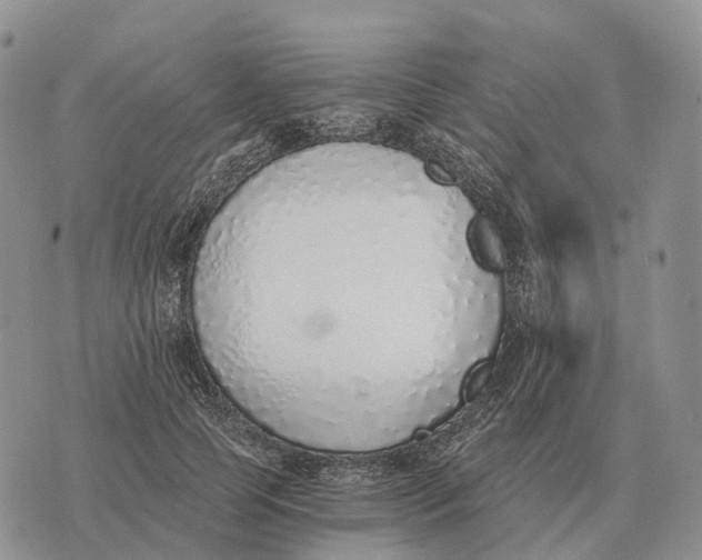 X0000072980745200608111741