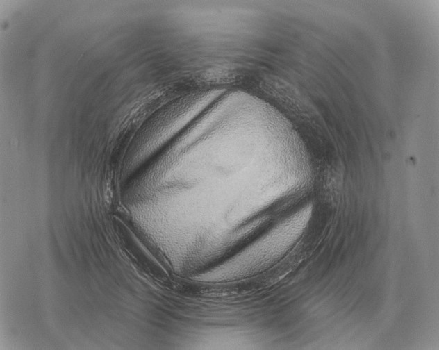 X0000072980746200608111741