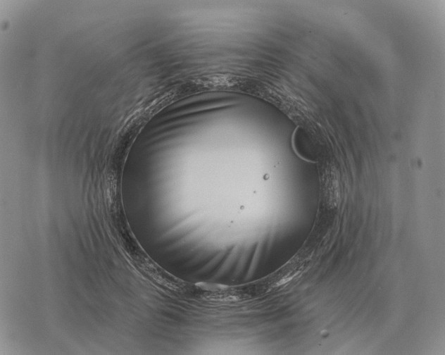 X0000072980747200608111741