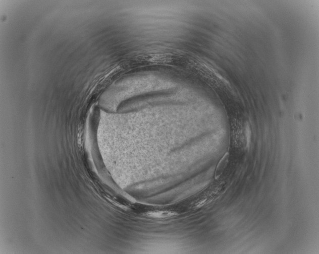 X0000072980748200608111741