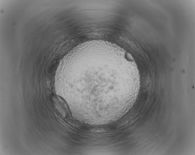 X0000072980749200608111741