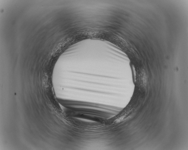 X0000072980750200608111741