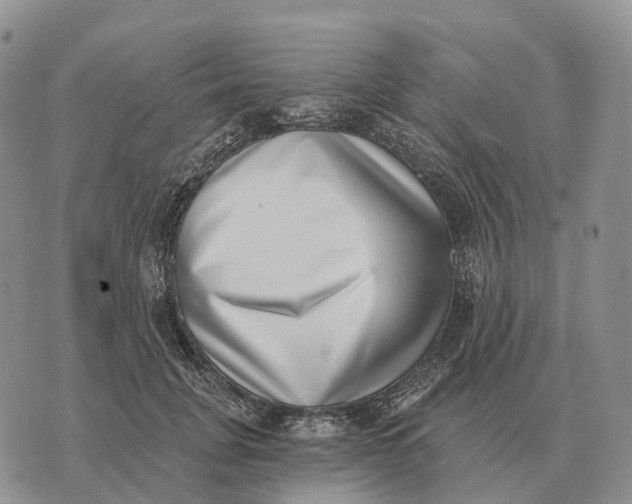 X0000072980751200608111741