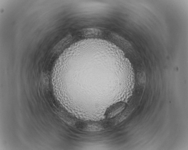 X0000072980753200608111741