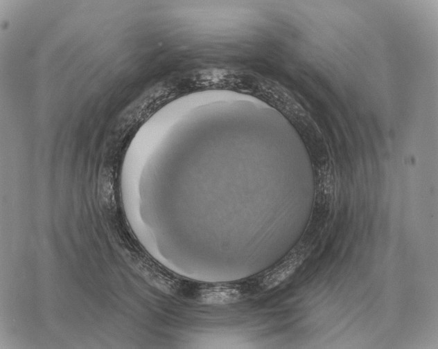 X0000072980754200608111741