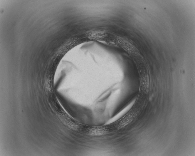 X0000072980755200608111741