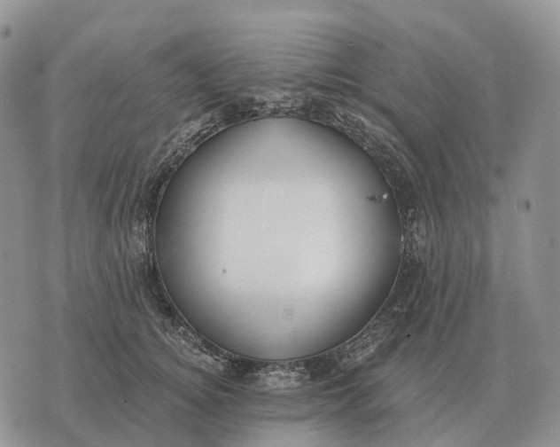 X0000072980756200608111741