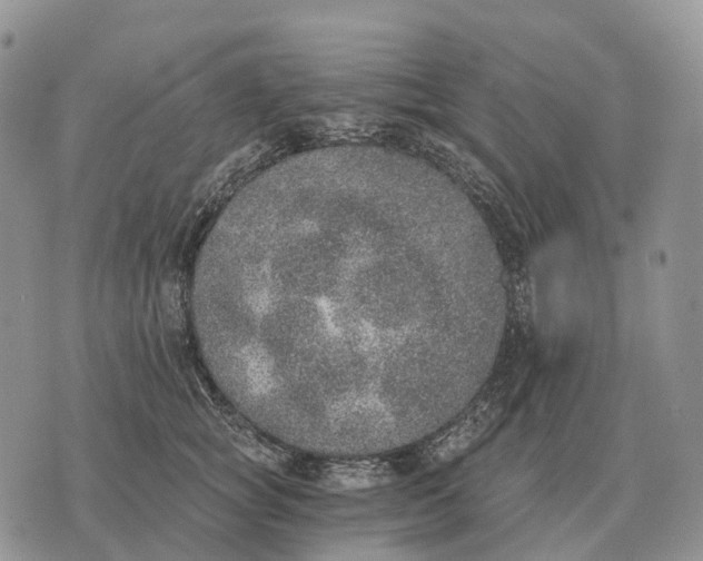 X0000072980757200608111741