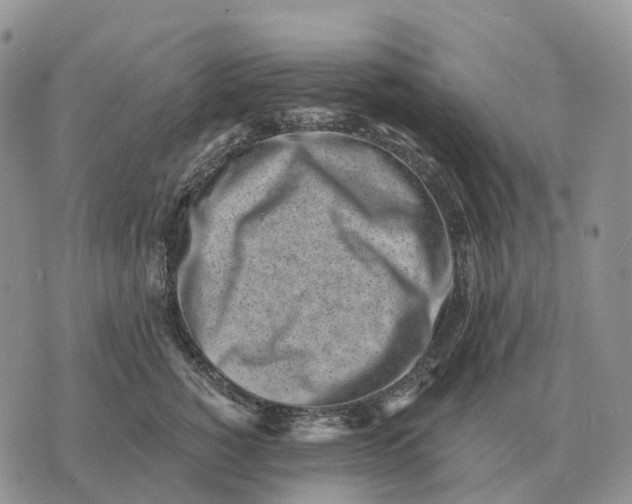 X0000072980760200608111741