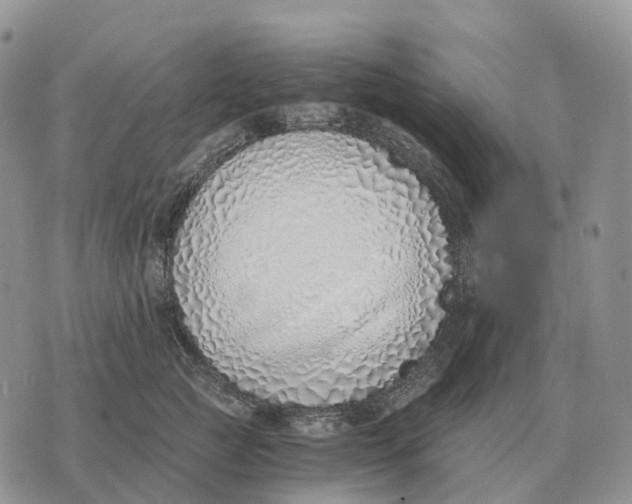 X0000072980761200608111741