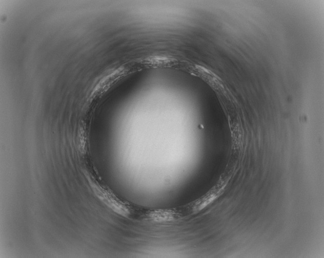 X0000072980762200608111741