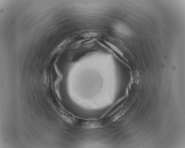 X0000072980763200608111741